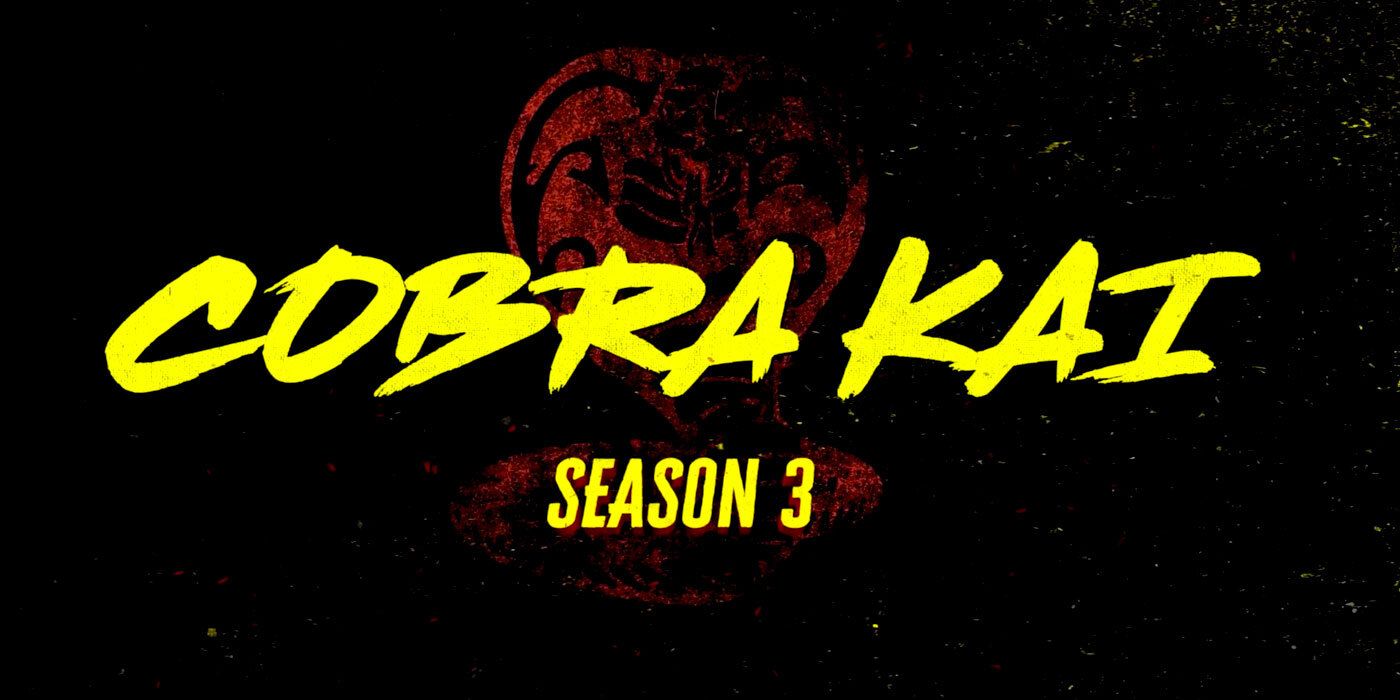 Cobra Kai Season 3: Review and Recap