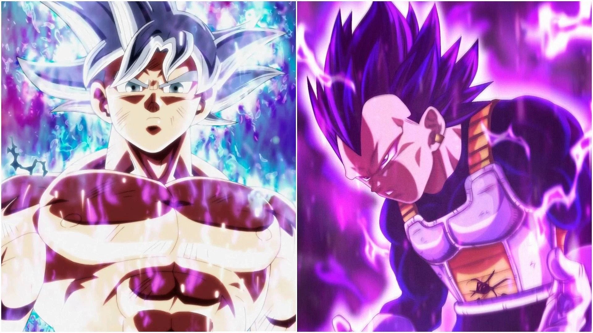 Goku Ultra Instinct vs Vegeta Ultra Ego