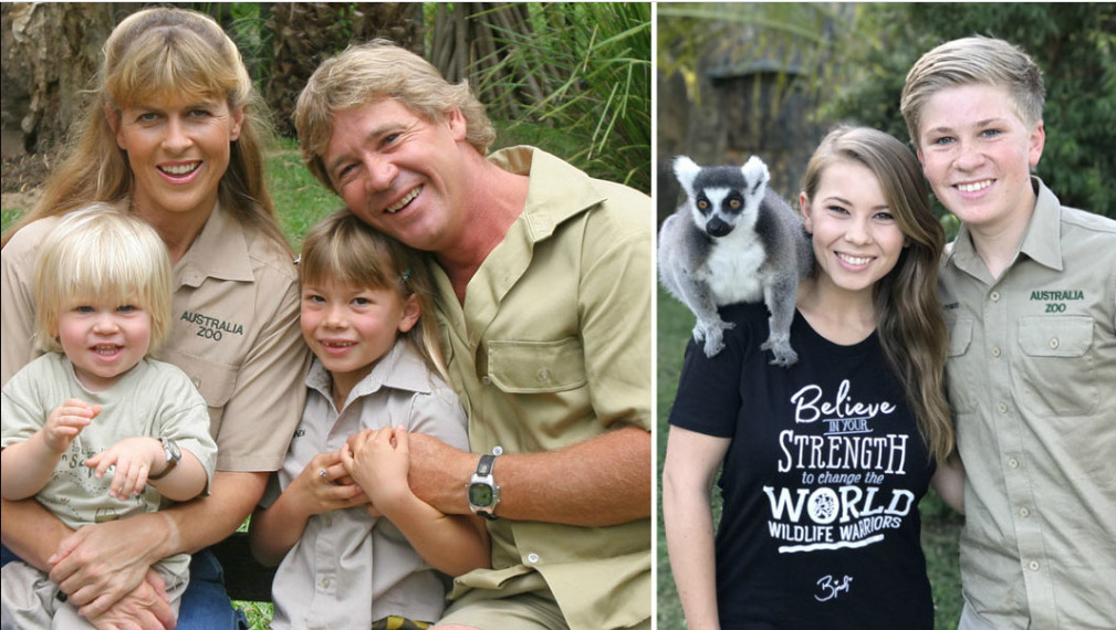 bindi irwin top 5 shows