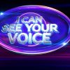 I can see your voice poster