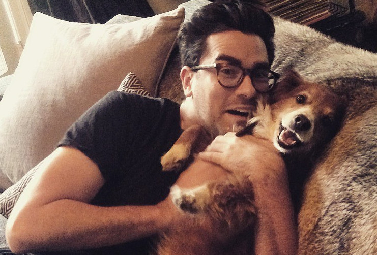 Who Is Dan Levy Dating? Is He Dating His On Screen Partner? Find Out Who He Spent His Quarantine With