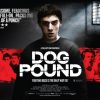 Dog Pound 2010
