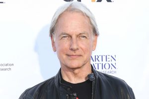 Mark Harmon