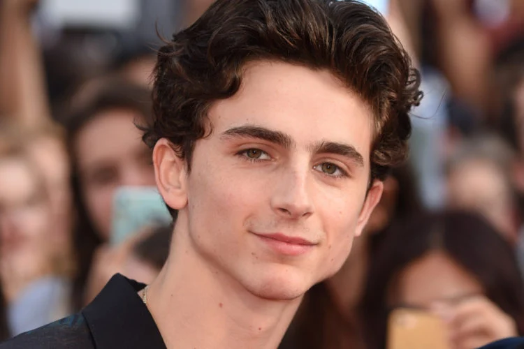 Timothee Chalamet estimated net worth.