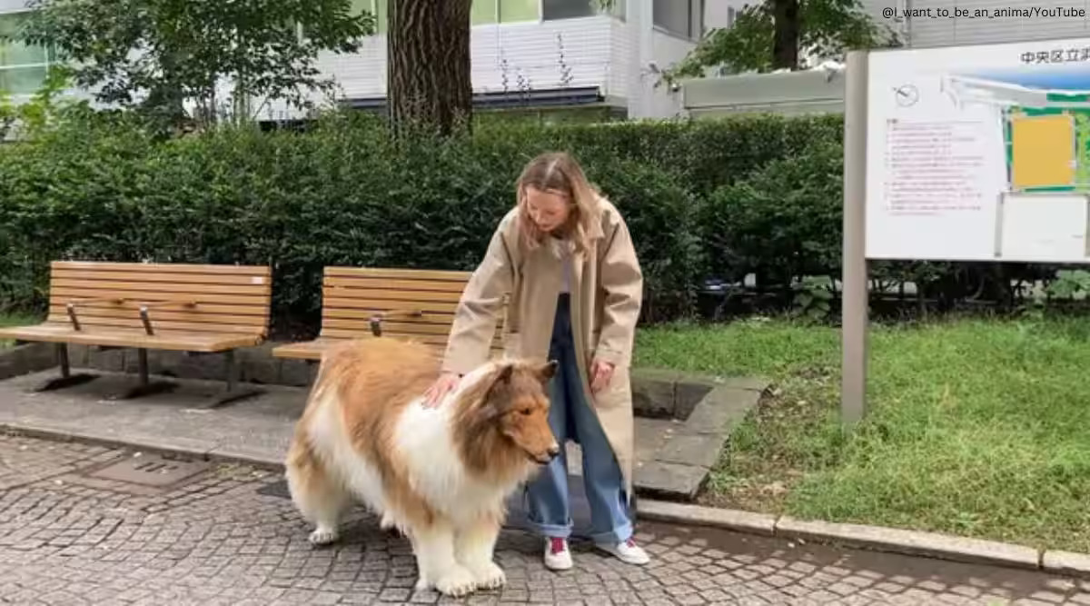 Japanese Man Dog with Owner