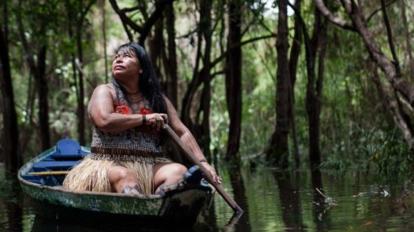 Direct funding of Indigenous peoples can protect global rainforests & the climate (commentary)