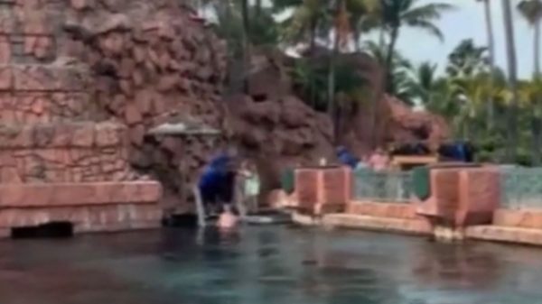 Video shows chaotic moments after boy, 10, gets bit by shark on Bahamas vacation