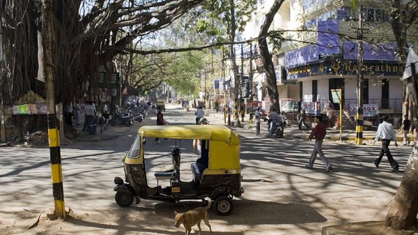 When cities were Nature’s haven: a tale from Bangalore