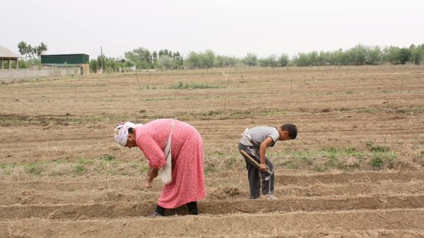 Kyrgyzstan: Women Migrants in the Workforce and the Generation of Children Facing Displacement