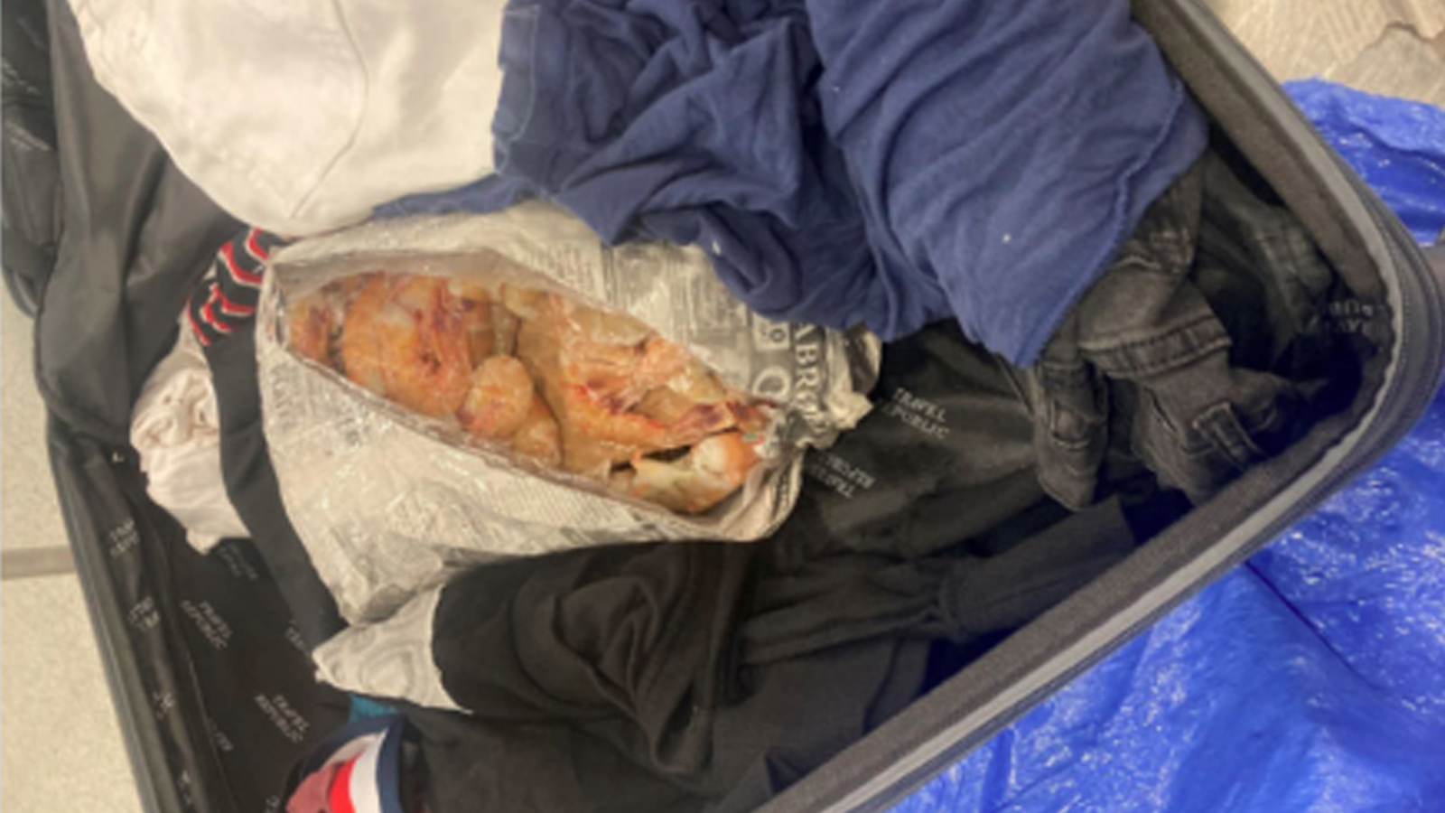 Arrest Made in Connection with Alleged Smuggling of Cocaine Inside Frozen Jumbo Shrimp Bags