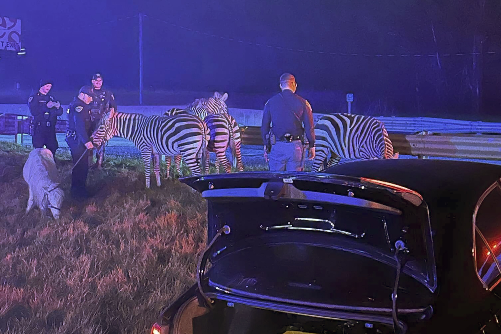 Law Enforcement Rescues Circus Animals from Flaming Trailer on Indiana Interstate