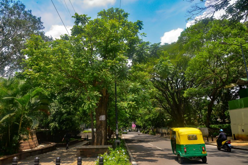 When Urban Areas Served as Nature's Refuge: A Story from Bangalore