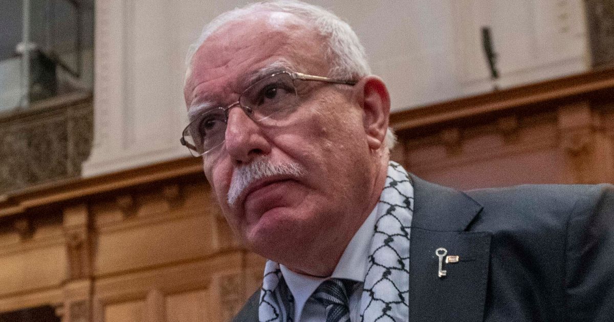 Palestinian Diplomat Accuses Israel Of Apartheid, Asks U.N. Court To Declare Occupation Illegal