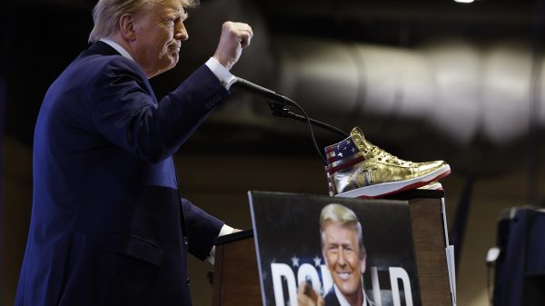 Black People Will Vote for Trump Because They ‘Love Sneakers’—Fox News Host