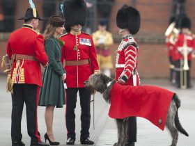 Kate Middleton, the Honorary Colonel of the Irish Guards, to Miss St. Patrick’s Day Parade