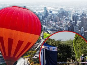 Hot-Air Balloon Death, Man Falls 1,500 Feet Into Australian Neighborhood