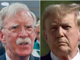 John Bolton Dismisses Trump Dictator Talk With Brutal Observation