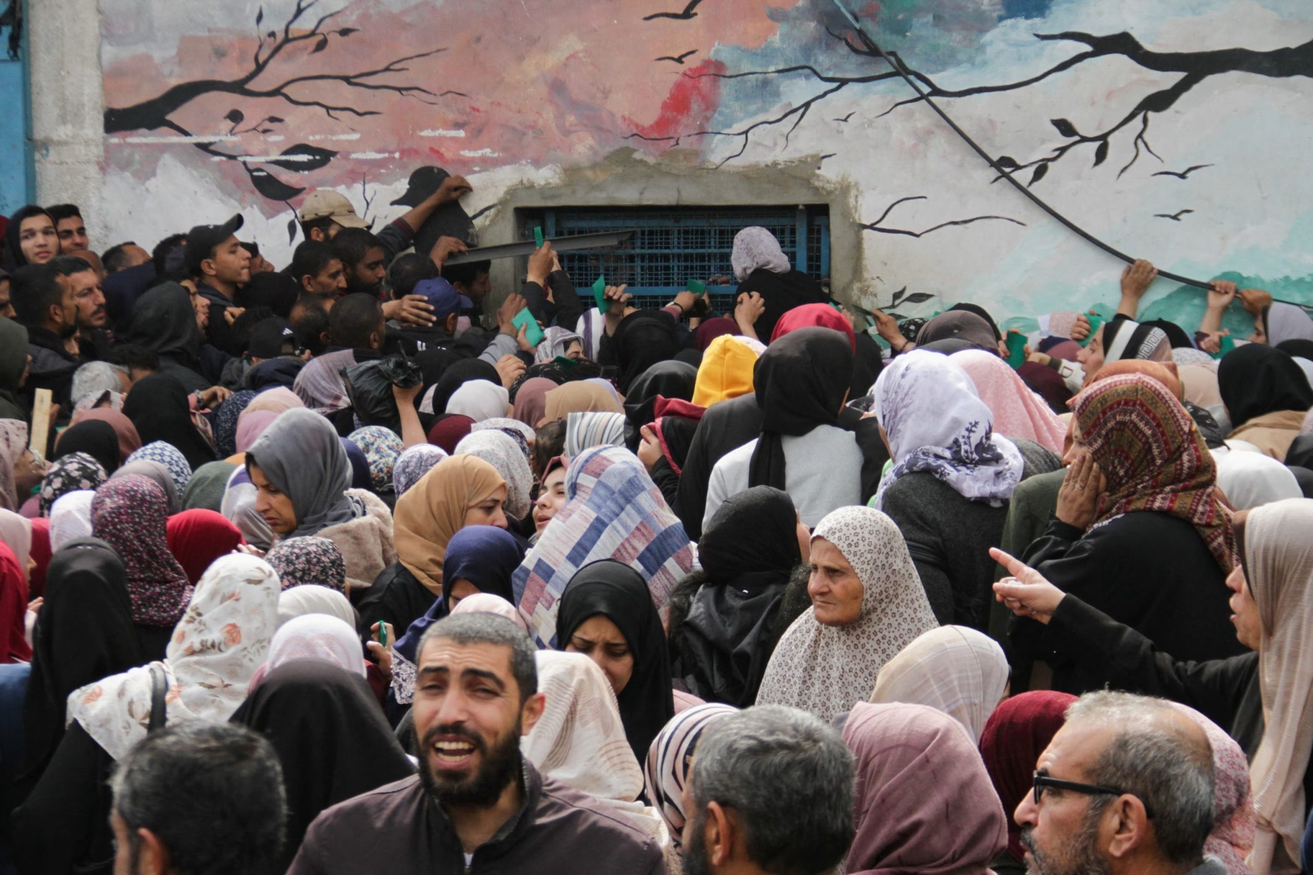 Famine Approaching in Northern Gaza as Palestinians Face Starvation: IPC Report