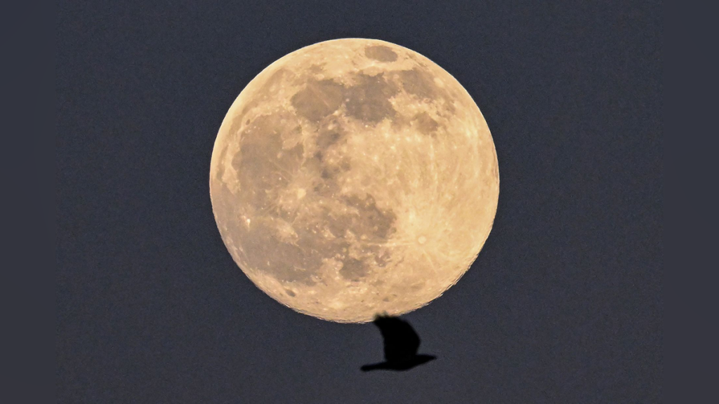Glowing Worm Moon Illuminates Skies Alongside Penumbral Lunar Eclipse
