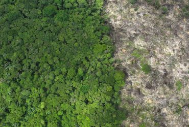 “Two steps forward, two steps back” – Governments off course for forest protection target