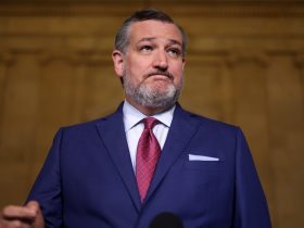 Ted Cruz Calls Democrats ‘Cheese-Eating Surrender Monkeys’ Over Israel-Hamas