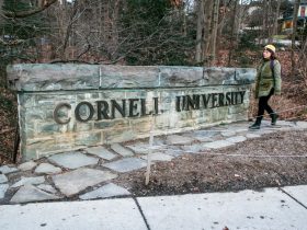 Cornell students to hold ‘Jewish Unity’ rally to fight rising campus antisemitism