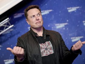 Australia Targets Elon Musk, Politician Says He Should Be Jailed For Fighting Gov’t Restriction on Speech