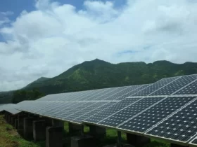 JinkoSolar Partners with Italian EPC Firm Nyox Srl to Deliver 100MW of Tiger Neo Modules