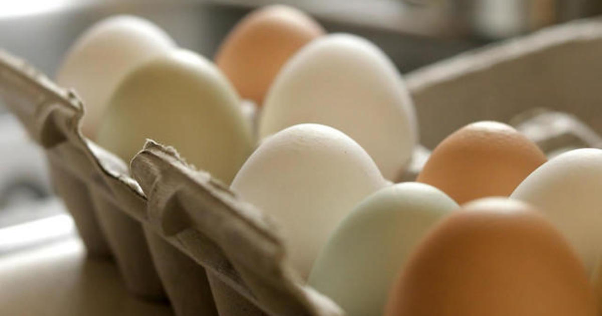 Major U.S. Fresh Egg Producer Discovers Bird Flu in Texas and Michigan Plants
